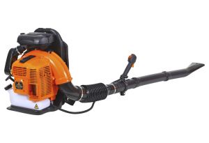 цена воздуходувки Carver GB63/1350BP; стоимость воздуходувки Carver GB63/1350BP; воздуходувка Carver GB63/1350BP недорого; воздуходувка Carver GB63/1350BP акция; воздуходувка Carver GB63/1350BP со скидкой;